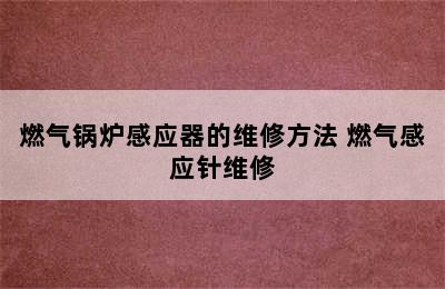 燃气锅炉感应器的维修方法 燃气感应针维修